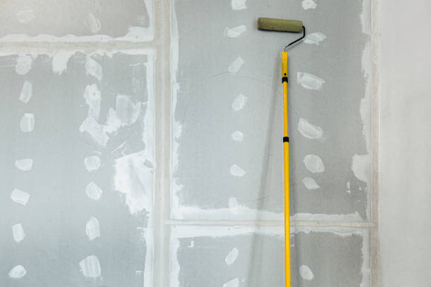 Wallpaper Removal and Painting in Belvidere, IL