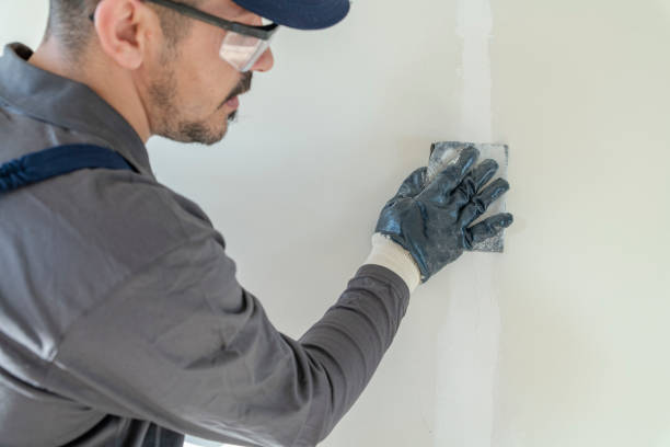 Best Eco-Friendly and Low-VOC Painting  in Belvidere, IL