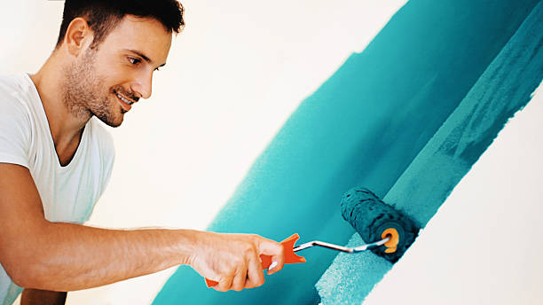 Best Water-Damaged Drywall Repair  in Belvidere, IL